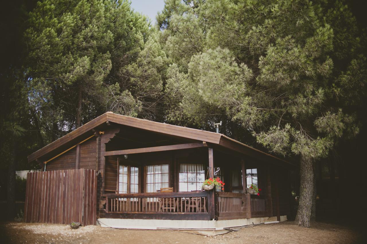 Kibbutz Ortal Tourism Hotel Eksteriør billede